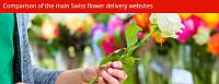 Flower delivery Switzerland comparison